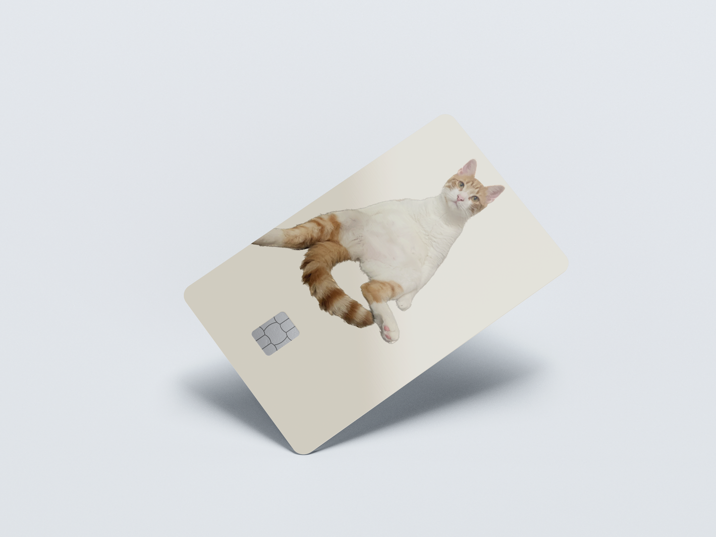 Couch Cat Credit card covers, credit card skins
