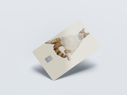 Couch Cat Credit card covers, credit card skins