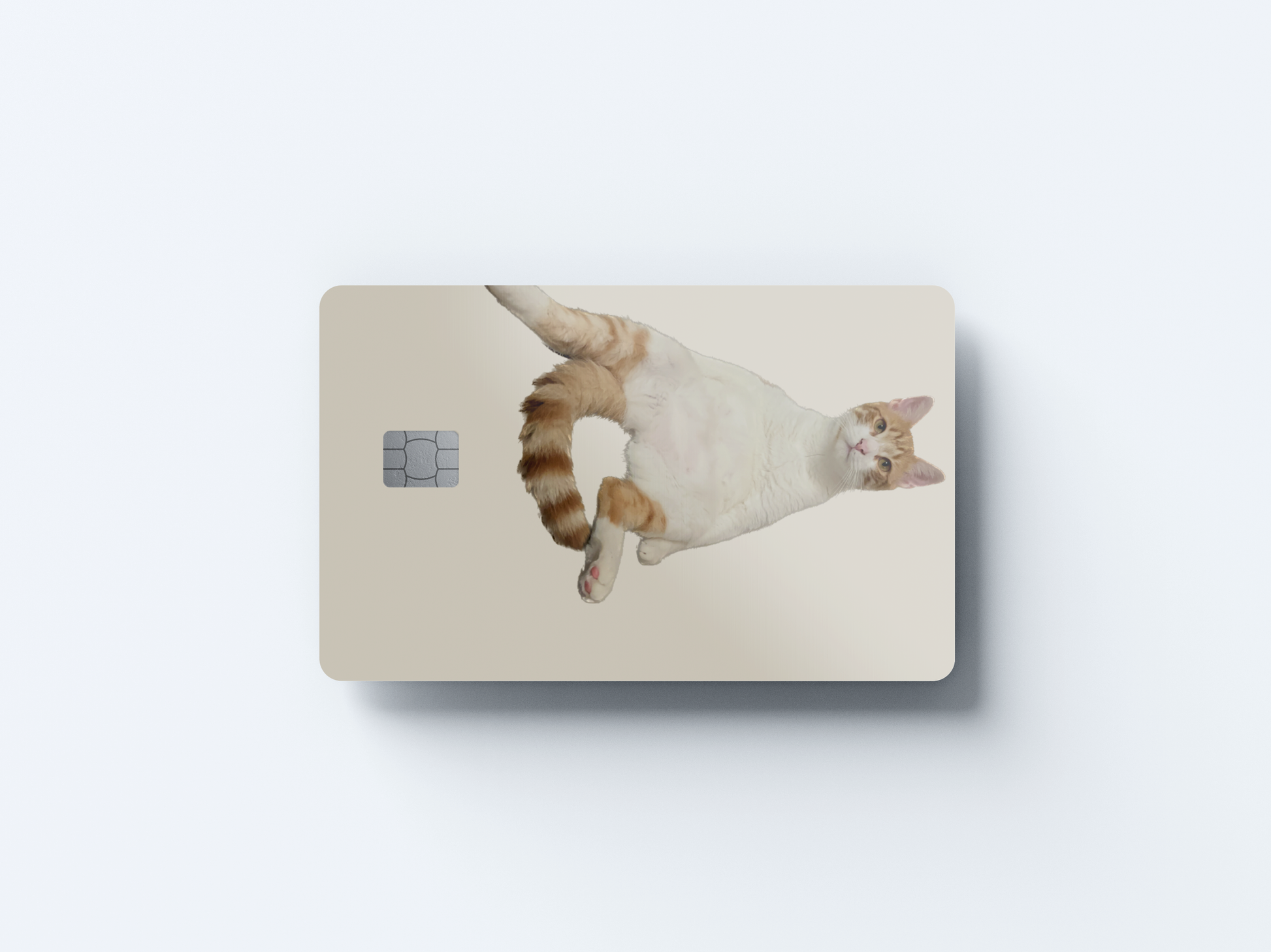 Couch Cat Credit card covers, credit card skins