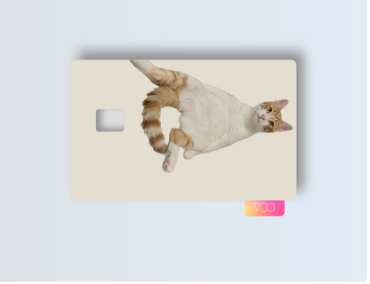 Couch Cat Credit card covers, credit card skins