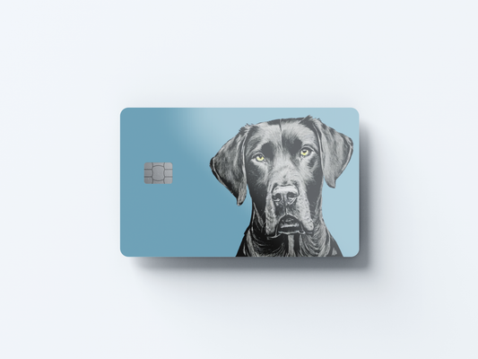 Black Lab Credit card covers, credit card skins