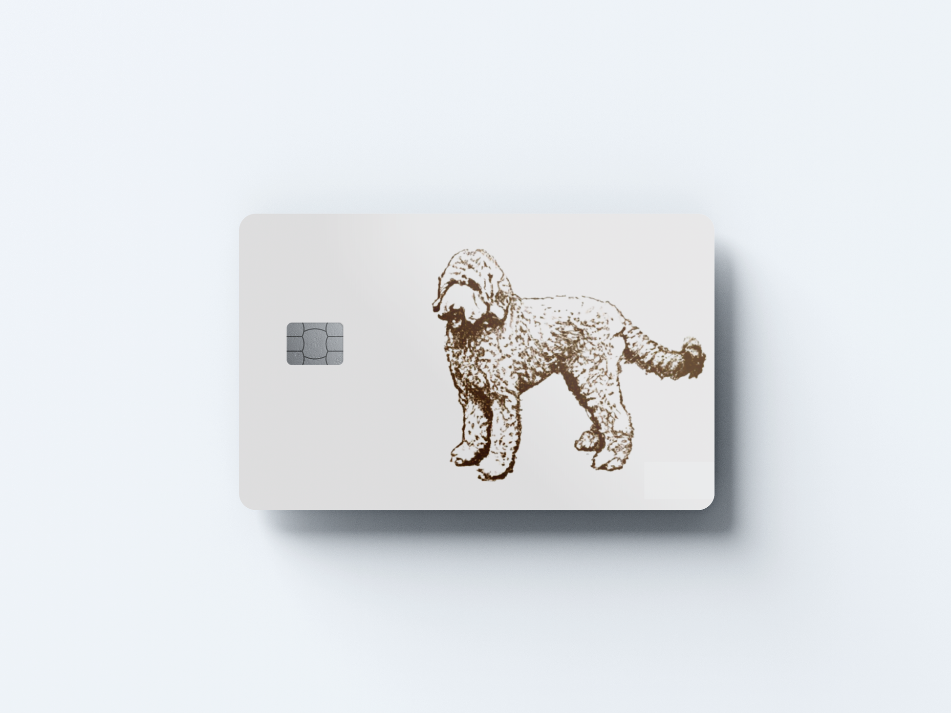 Golden Doodle Credit card covers, credit card skins